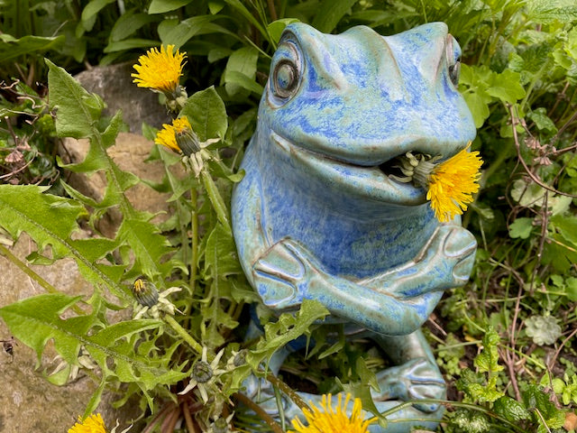 Wasserreiniger