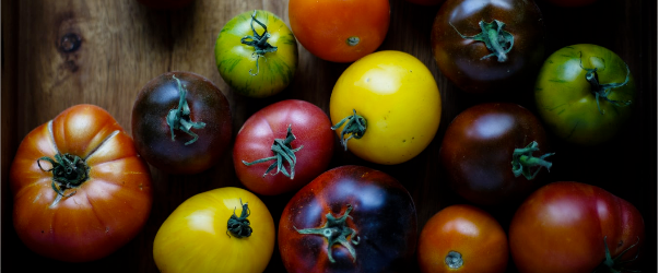 verschiedene bunte Tomaten auf einem Holzbrett