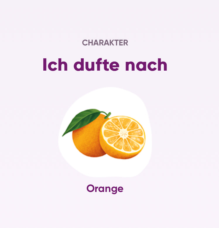 Feelkraft Baldini Duftessenz Orangenduft