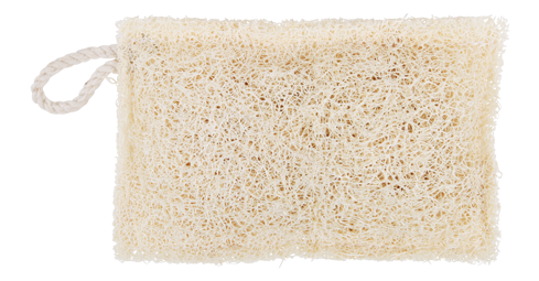 Luffa Spülschwamm