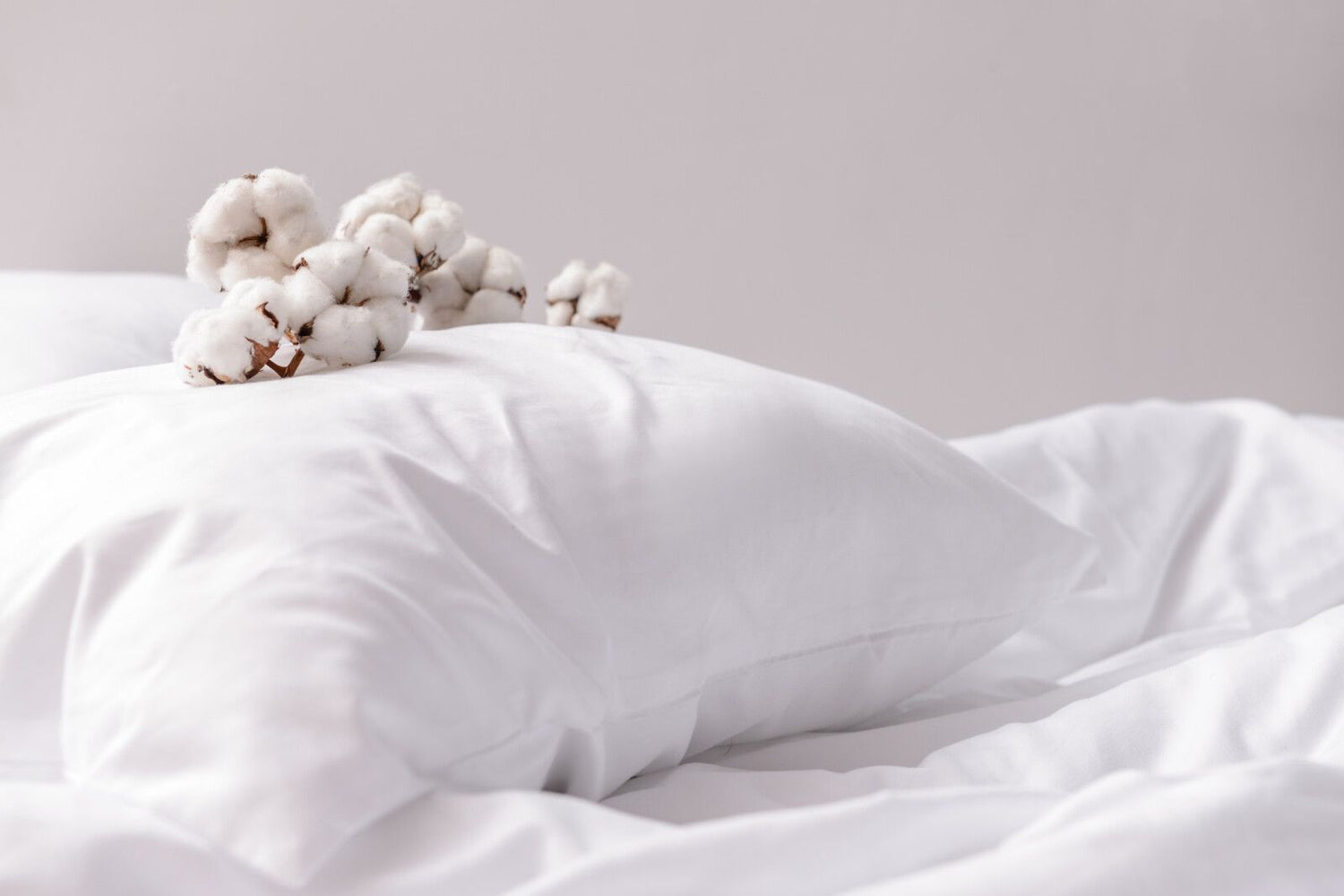 Hüsler Nest Kissen, Abbildung mit Baumwollblüten